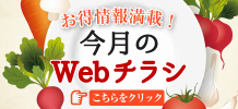 今月のWebチラシ