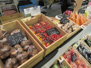 IMG_1257