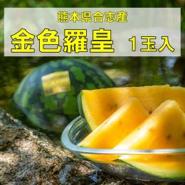 大玉すいか「金色羅皇」1玉入